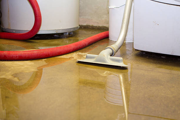 Best Water Damage Insurance Claim Assistance in USA